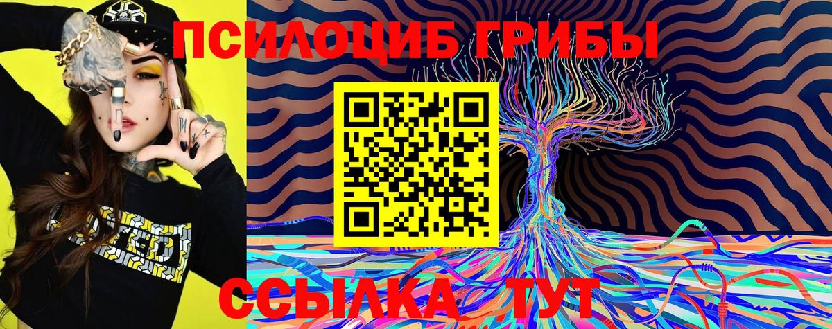 Галлюциногенные грибы GOLDEN TEACHER  Вход с VPN  Медногорск 